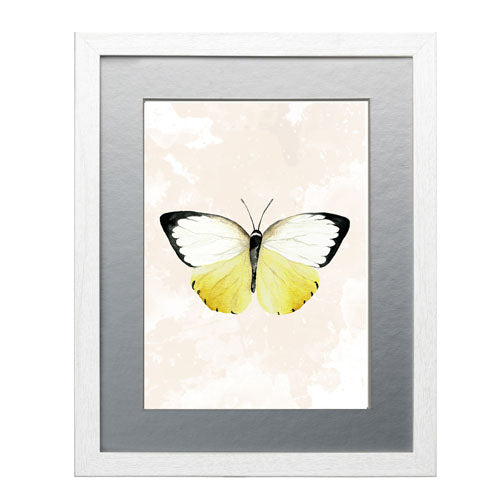 Mariposa 3