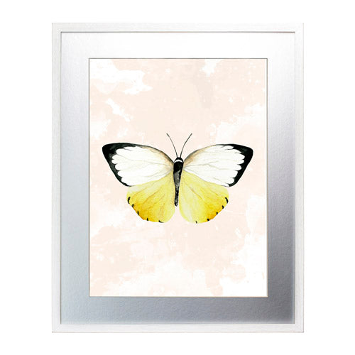 Mariposa 3