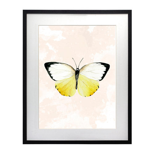 Mariposa 3