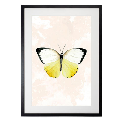 Mariposa 3