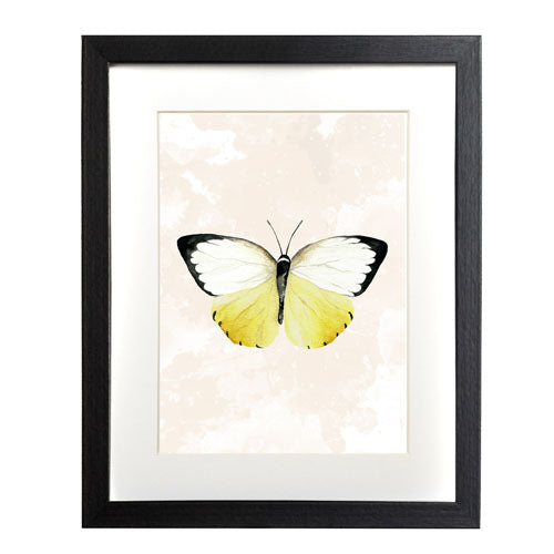 Mariposa 3