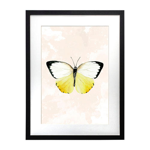 Mariposa 3