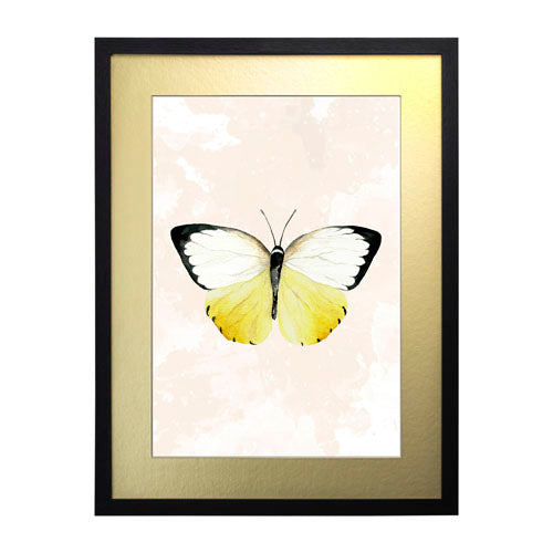Mariposa 3