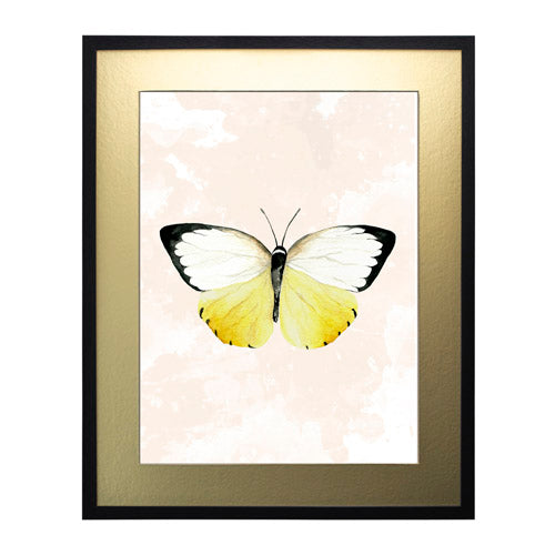 Mariposa 3