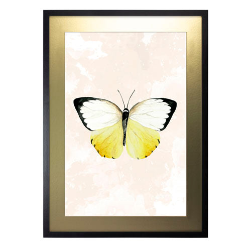 Mariposa 3