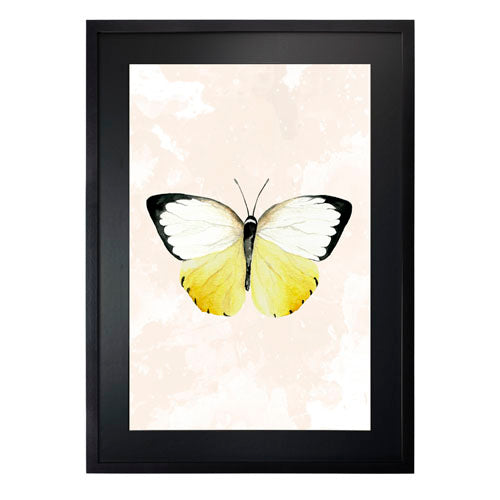 Mariposa 3