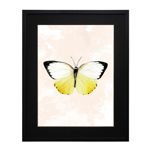 Mariposa 3
