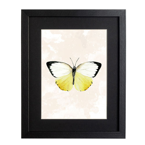 Mariposa 3