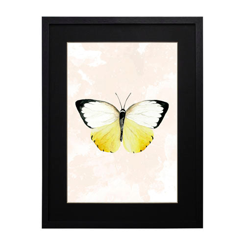 Mariposa 3