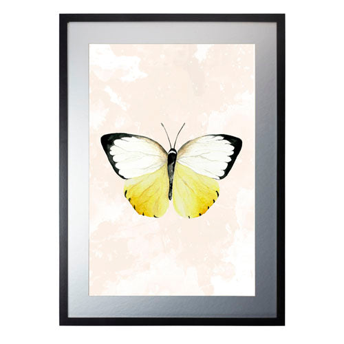 Mariposa 3