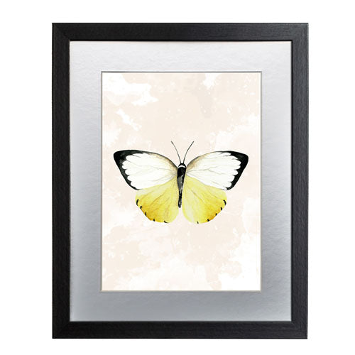 Mariposa 3