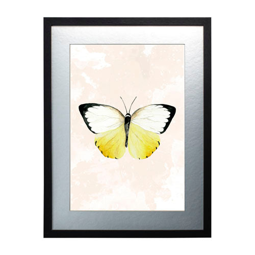Mariposa 3