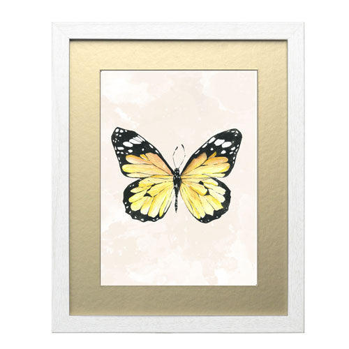 Mariposa 4