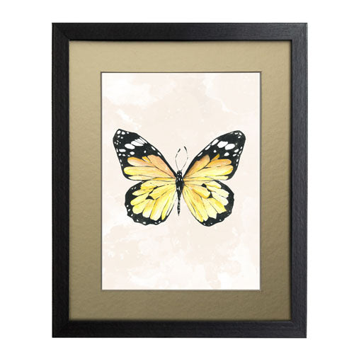 Mariposa 4