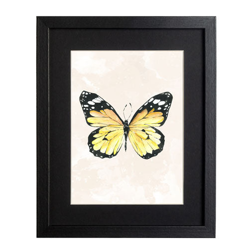 Mariposa 4