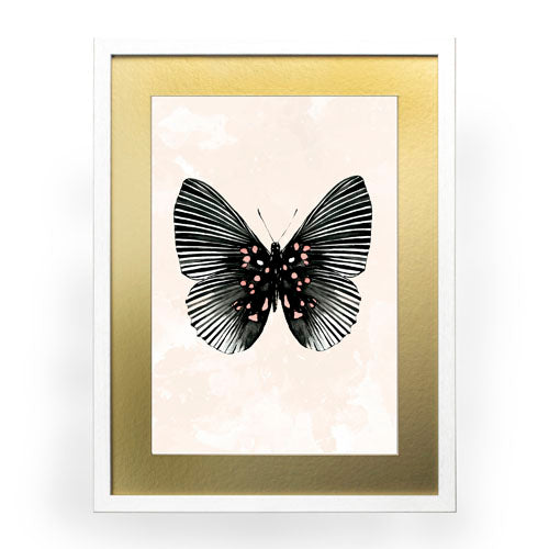 Mariposa 5