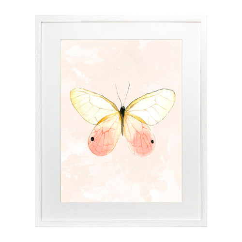 Mariposa 7