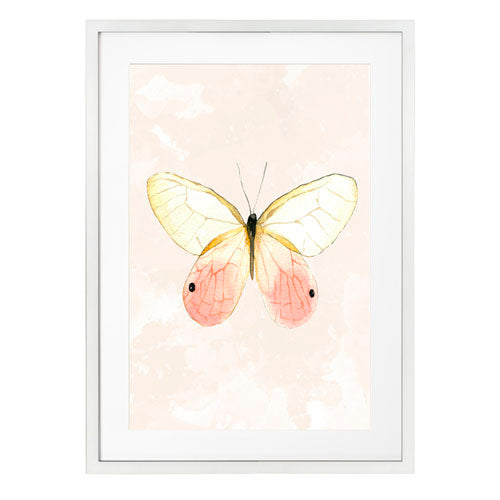 Mariposa 7