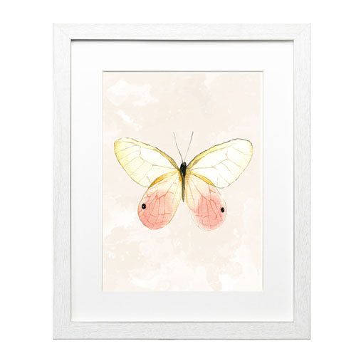 Mariposa 7