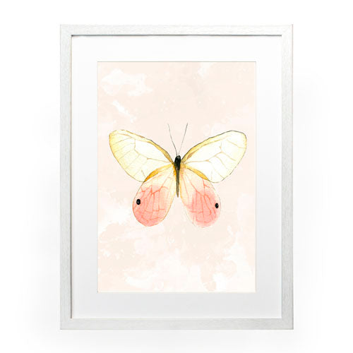 Mariposa 7
