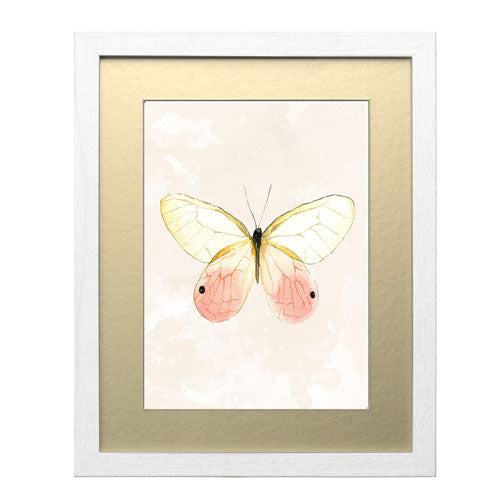 Mariposa 7