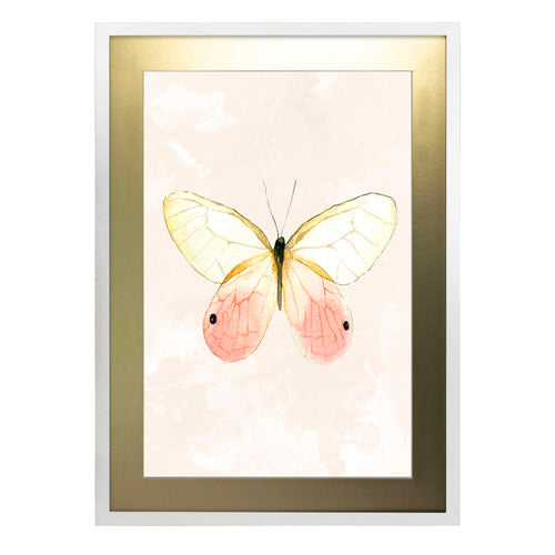 Mariposa 7