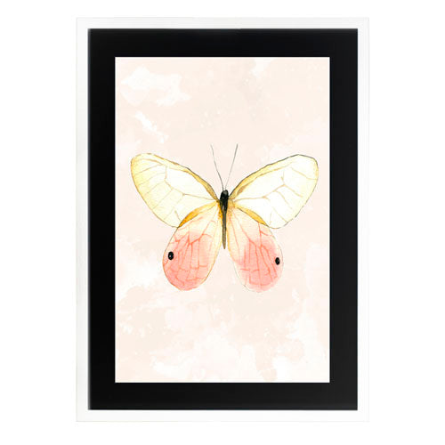 Mariposa 7