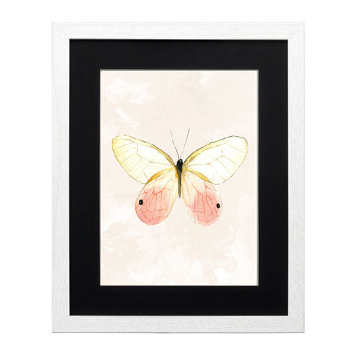 Mariposa 7