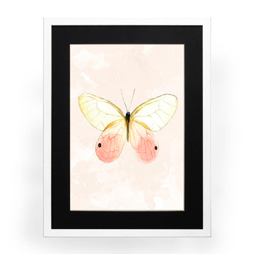 Mariposa 7