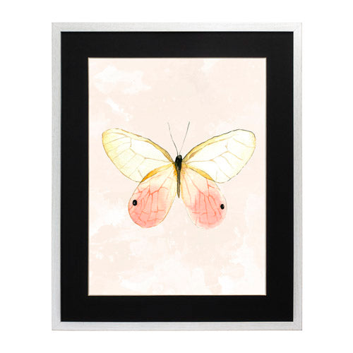 Mariposa 7