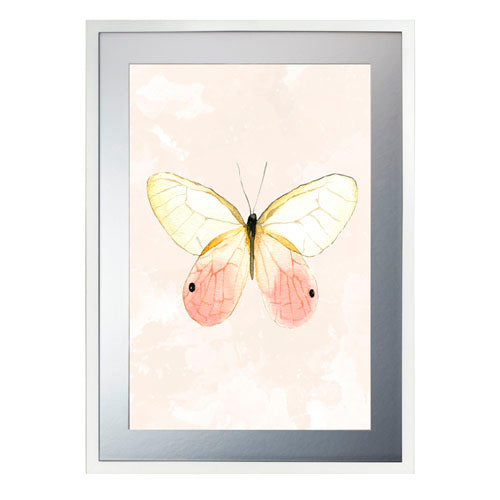 Mariposa 7