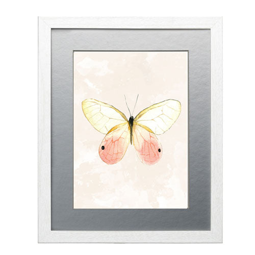 Mariposa 7