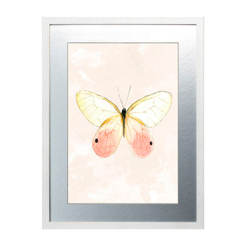 Mariposa 7