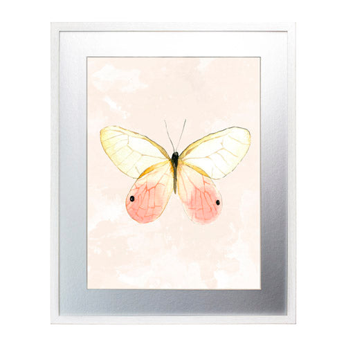 Mariposa 7