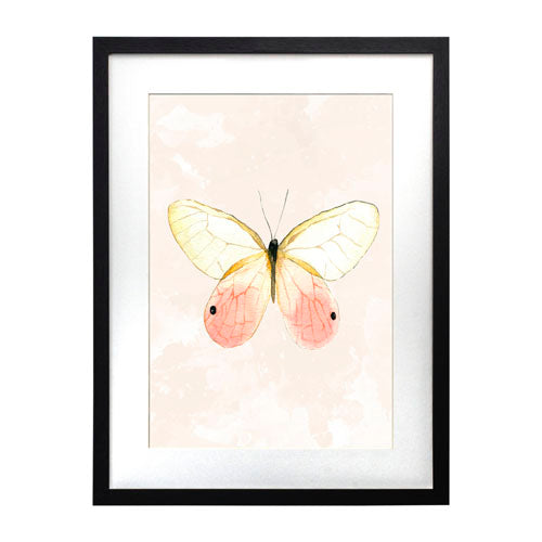 Mariposa 7
