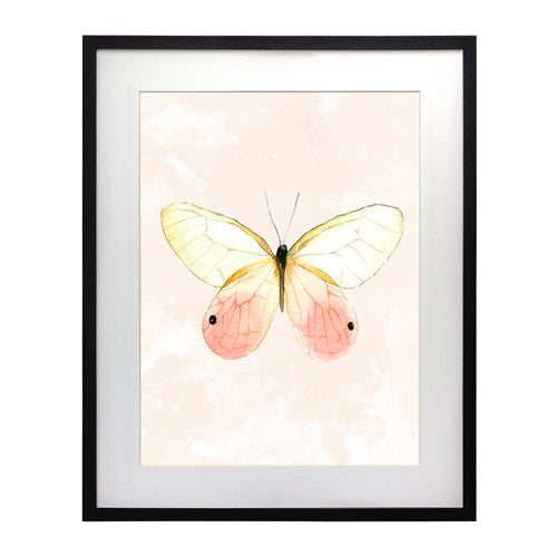 Mariposa 7