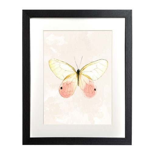 Mariposa 7