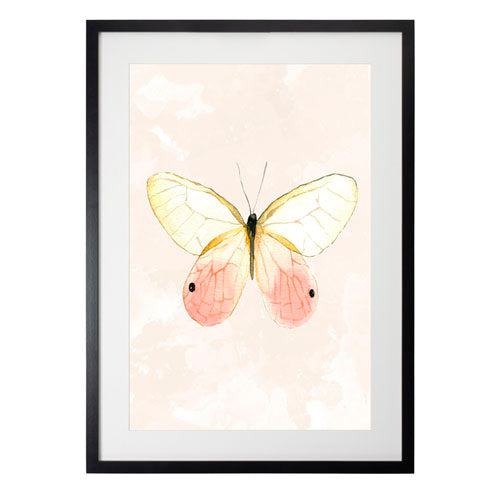 Mariposa 7