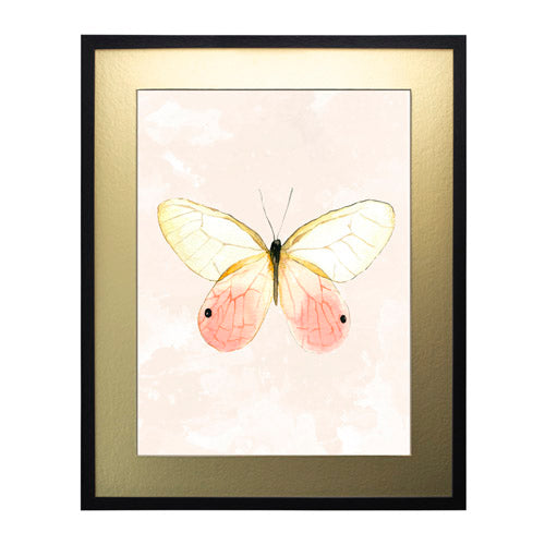 Mariposa 7