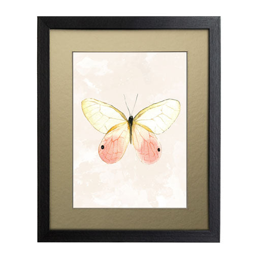 Mariposa 7