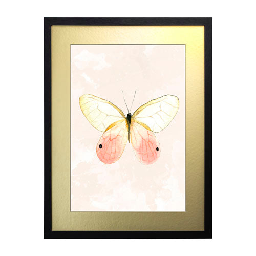 Mariposa 7
