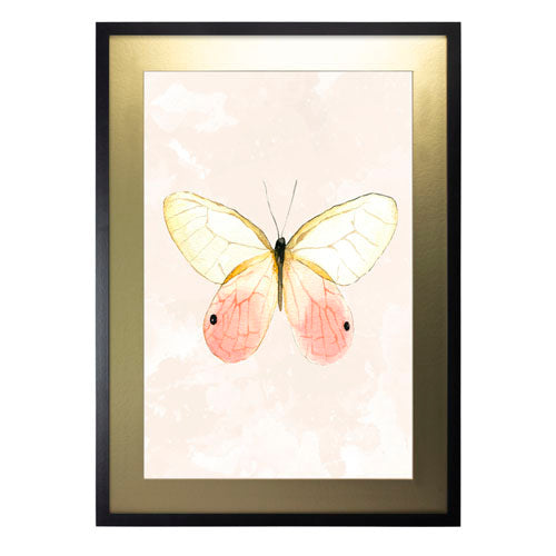 Mariposa 7