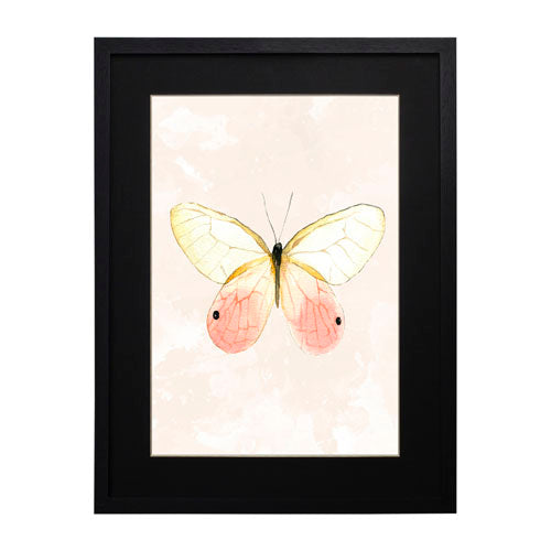 Mariposa 7