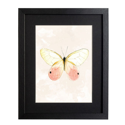 Mariposa 7