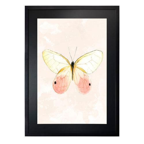 Mariposa 7