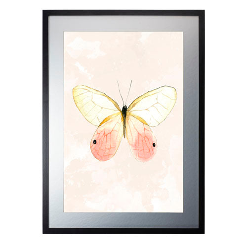 Mariposa 7