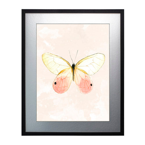 Mariposa 7