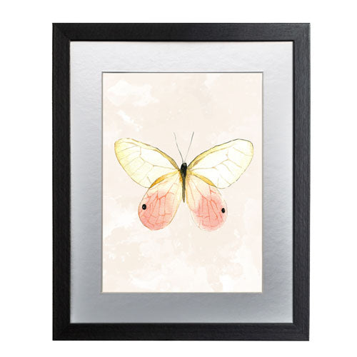 Mariposa 7