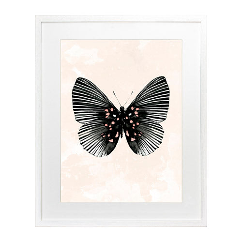 Mariposa 5