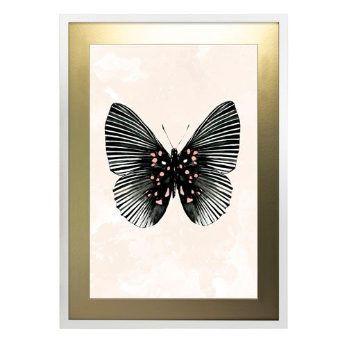 Mariposa 5
